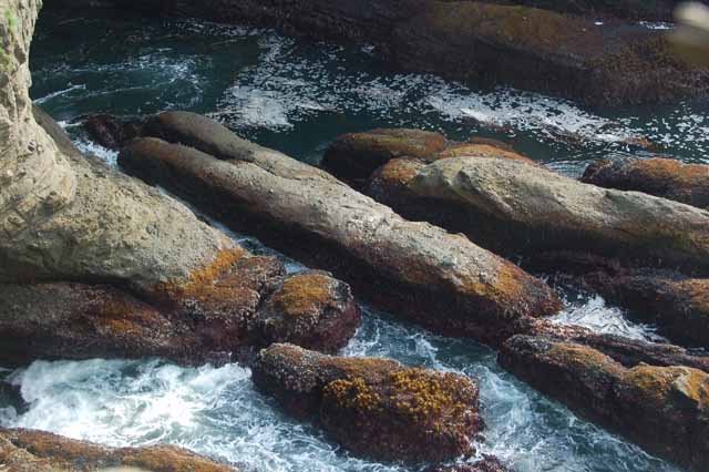 Cape Flattery
